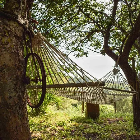 ゲストハウス D'amore 3*