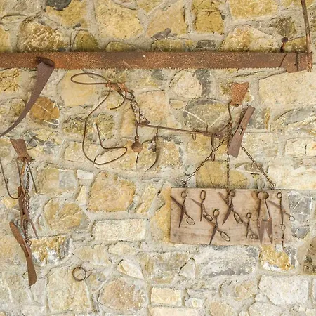 ゲストハウス D'amore Foria